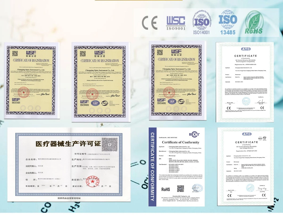 certificate certificate