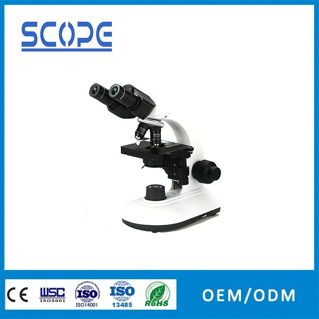 binoculars  led biological microscope