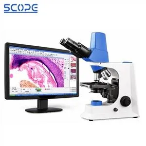 Microscopio LED USB Digital