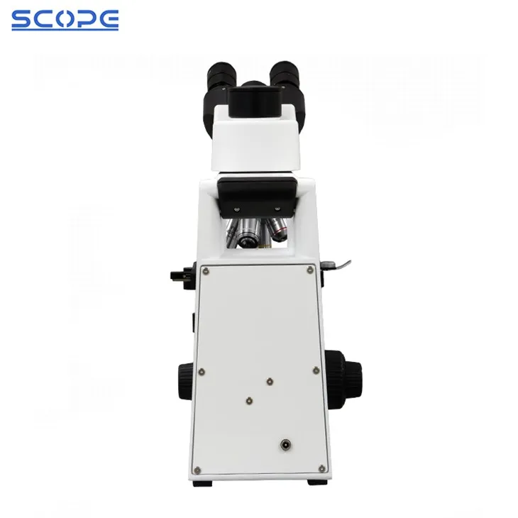 Labs Compound Biological Microscope suppliers