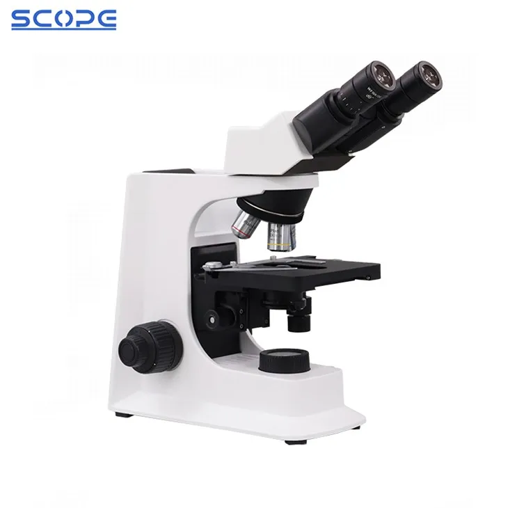 Labs Compound Biological Microscope factory